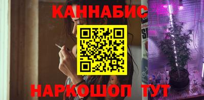 сатива Будённовск