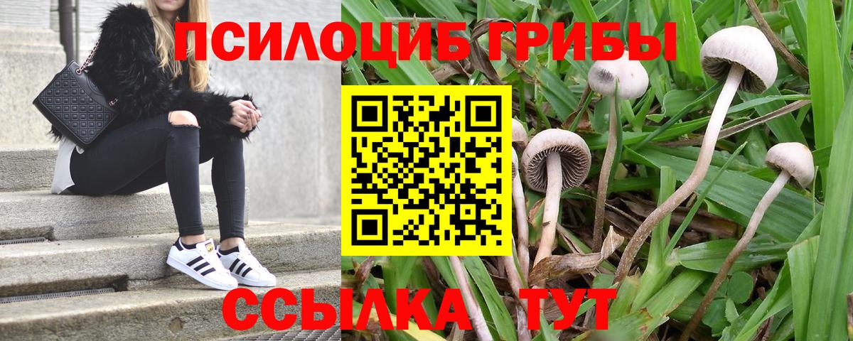 Псилоцибиновые грибы Magic Shrooms Мурино