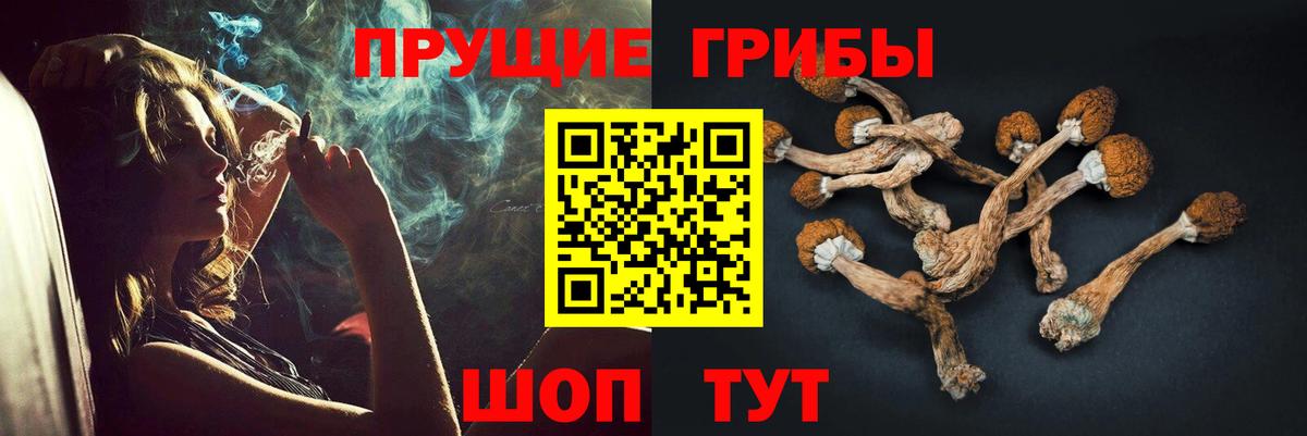 Псилоцибиновые грибы GOLDEN TEACHER  Галлюциногенные грибы мухоморы  Вход с VPN  Мурино 